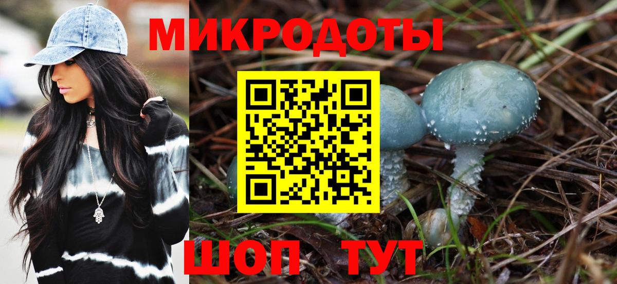 Псилоцибиновые грибы мицелий Щёлково