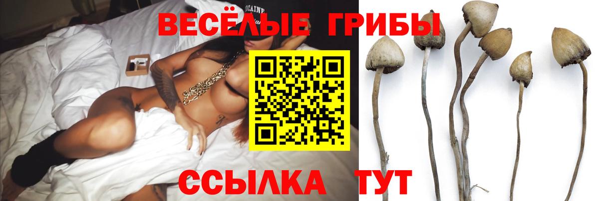 Галлюциногенные грибы мухоморы  Галлюциногенные грибы мухоморы  Щёлково  Вход с VPN 